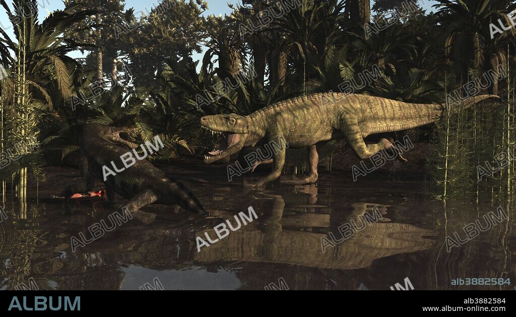 Batrachotomus confronts a Nothosaurus in the early to middle Triassic period (235 million years ago). Batrachotomus is a paracrocodylomorph from the loricata clade and a Prestosuchid. They grow up to 20 feet long and are a reptile distantly related to crocodiles. Nothosaurus is a semi-aquatic animal of which a branch may have given rise to the plesiosaurs. They have been found in North Africa, China and Europe.