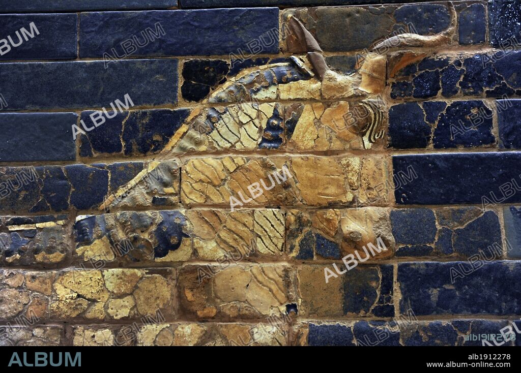 Mesopotamian art. Neo-Babylonian. Ishtar Gate, one of the eight gates of the inner wall of Babylon. Built in the year 575 B.C. during the reign of Nebuchadnezzar II (604-562 BC) using glazed blue brick with alternating rows of basrelief with dragons mushussu, also called sirrush, and aurochs. It was dedicated to the Babylonian goddess Ishtar. Rebuilt in 1930. An aurochs. Detail of the head. Pergamon Museum. Berlin. Germany.