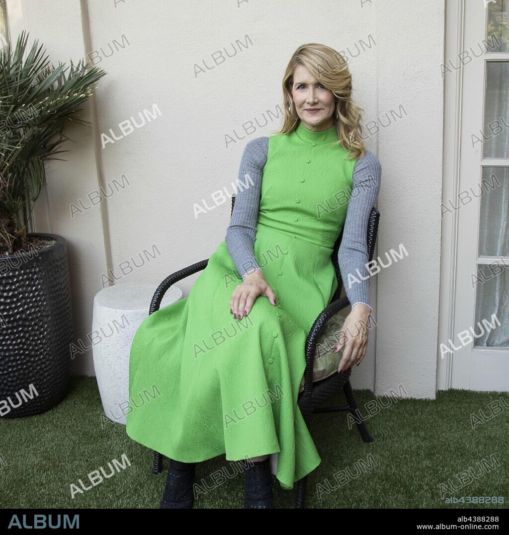 LAURA DERN. October 26, 2019, Hollywood, CA, USA: Laura Dern stars in the movie Marriage Story. 26/10/2019