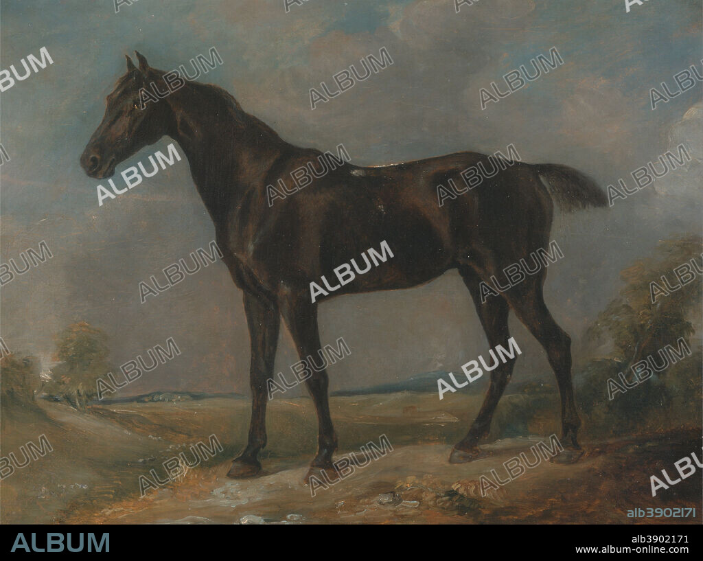 JOHN CONSTABLE. Golding Constable's Black Riding-Horse. Date/Period: Between 1805 and 1810. Painting. Oil on panel. Height: 356 mm (14.01 in); Width: 464 mm (18.26 in).