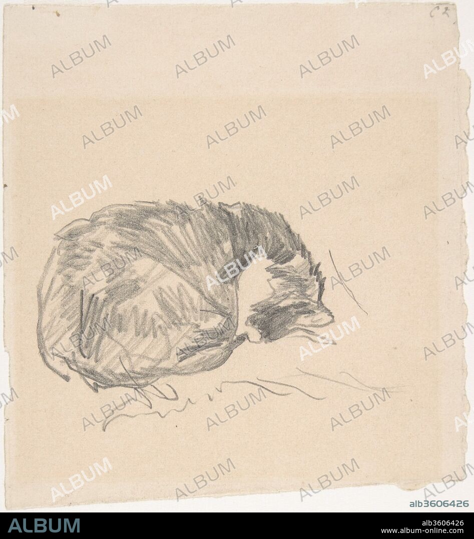 EDOUARD MANET. A Cat Curled Up, Sleeping. Artist: Édouard Manet (French, Paris 1832-1883 Paris). Dimensions: 4 5/8 x 4 1/4 in.  (11.7 x 10.8 cm). Date: 1861.