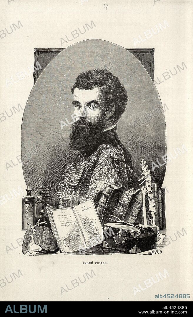Andre Vesale, Portrait of the anatomist Andreas Vesalius, signed: Morin, Fig. 17, after p. 282, p. 332, Morin, M. E., 1868, Louis Figuier: Savants de la renaissance: Paracelse, Ramus, Jérome Cardan, Bernard Palissy, George Agricola, Conrad Gesner, Rondelet, André Vésale, Ambroise Paré, Kopernik, Tycho Brahé, Vasco de Gama, Magellan. Paris: librairie internationale, 1868.
