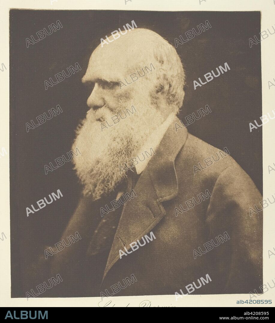 Charles Darwin. Julia Margaret Cameron; English, 1815-1879. Date: 1868. Dimensions: 22 × 19.5 cm (image); 45.2 × 37.2 cm (album page). Photogravure, plate 17 from the album "Lord Tennyson and his Friends" (1893), edition 138/140. Origin: England.