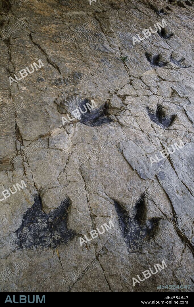 huellas de dinosaurio, yacimiento de Los Cayos, Cornago, La Rioja , Spain, Europe.