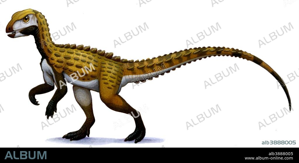 Scutellosaurus, an early Jurassic herbivore.