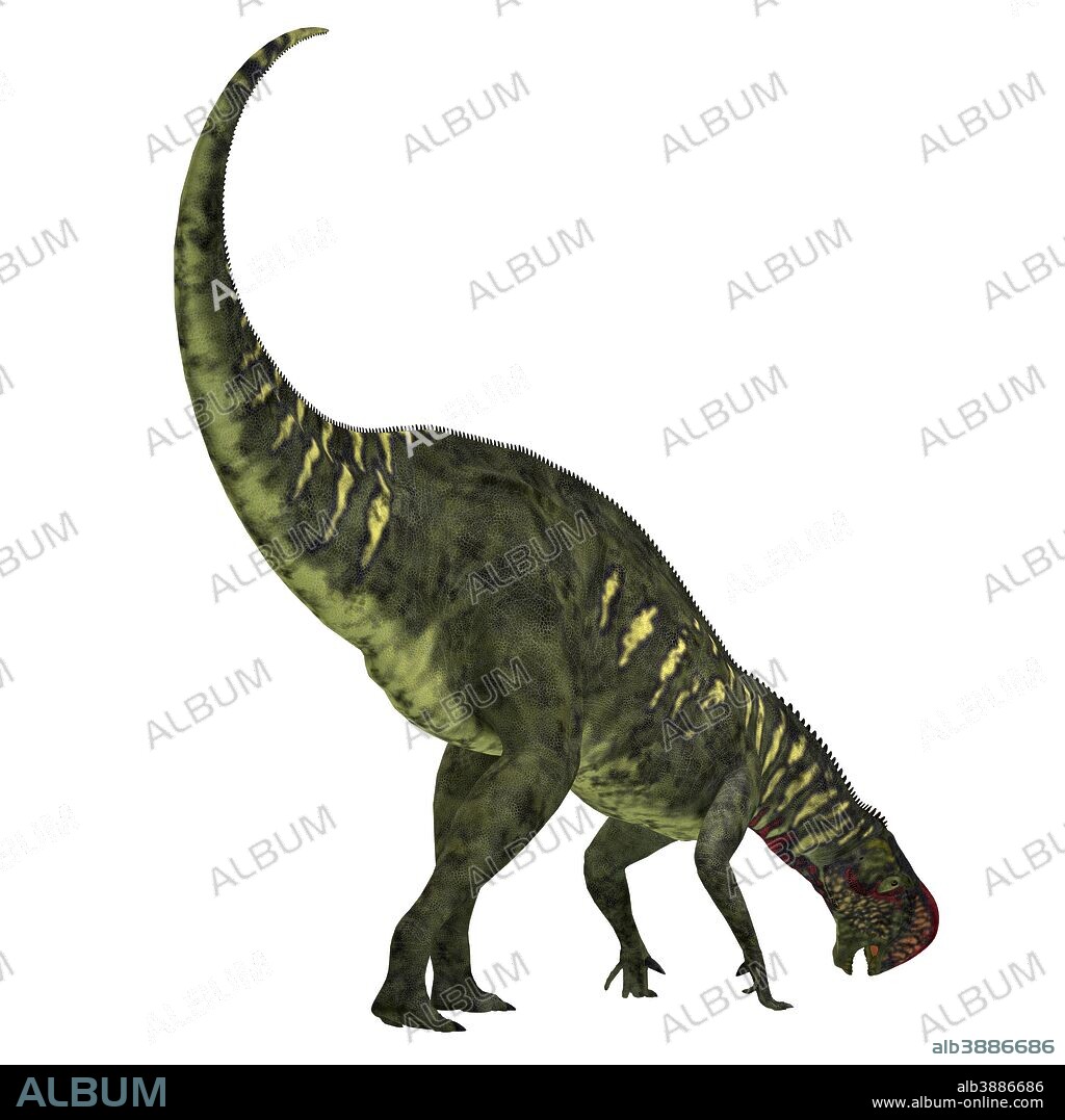 Altirhinus dinosaur, white background. Altirhinus is an iganodont herbivore dinosaur from the Cretaceous Period of Mongolia.
