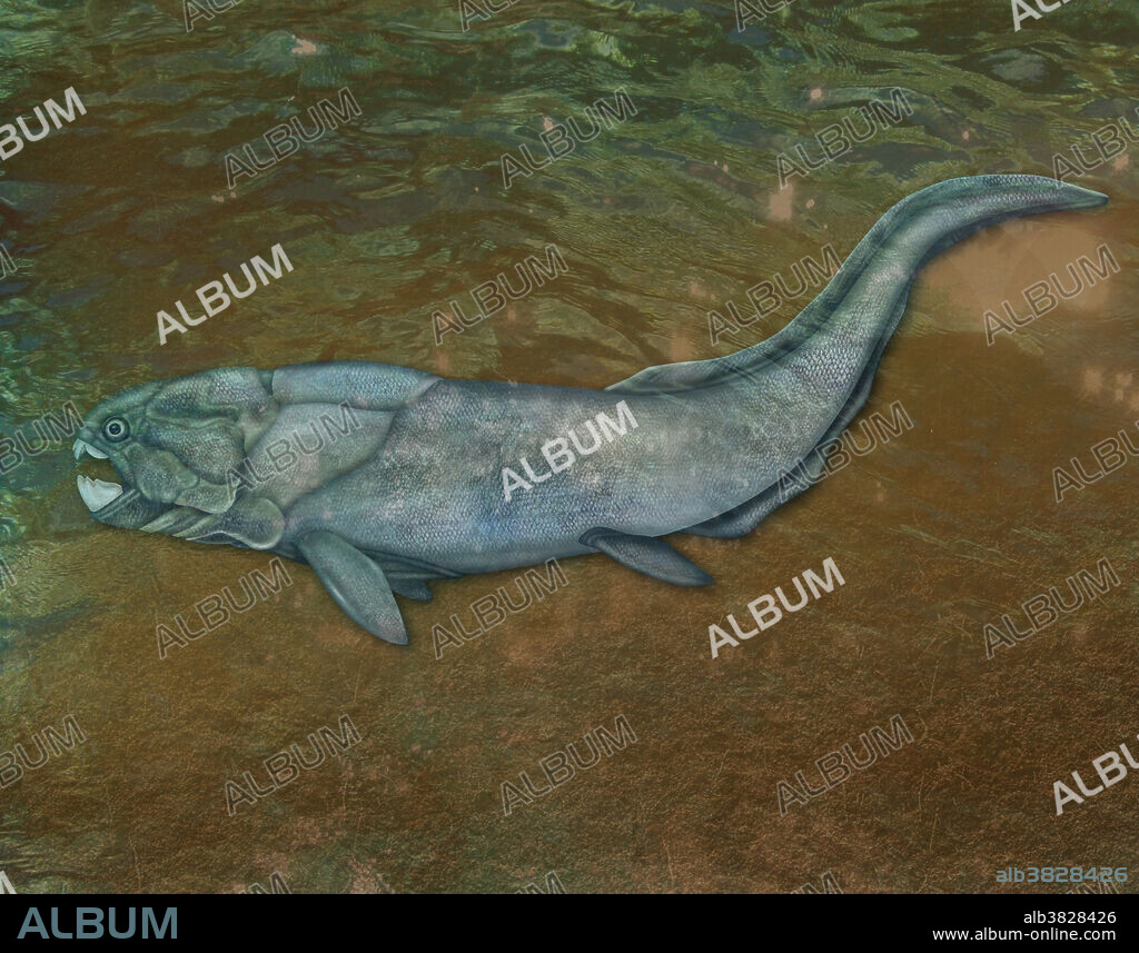Illustration of a placoderm. Placoderms are an extinct class of armoured prehistoric fish, which lived from the Silurian to the end of the Devonian Period. Their head and thorax were covered by articulated armoured plates and the rest of the body was scaled or naked, depending on the species.