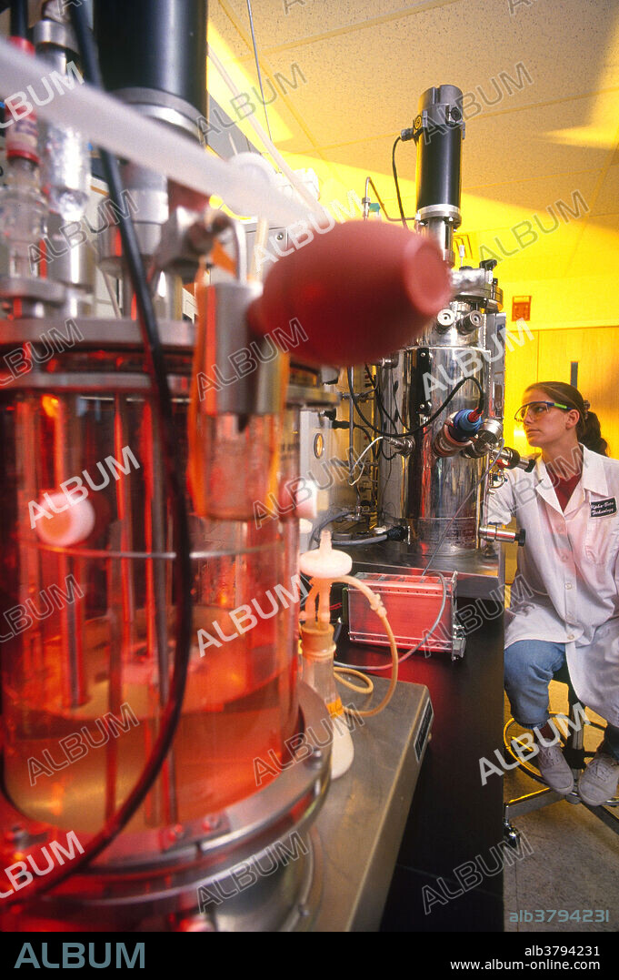 Researcher preparing a pilot scale fermentor, an apparatus used to grow microorganisms, to test a new microorganism for production of one of Alpha-Beta's products.