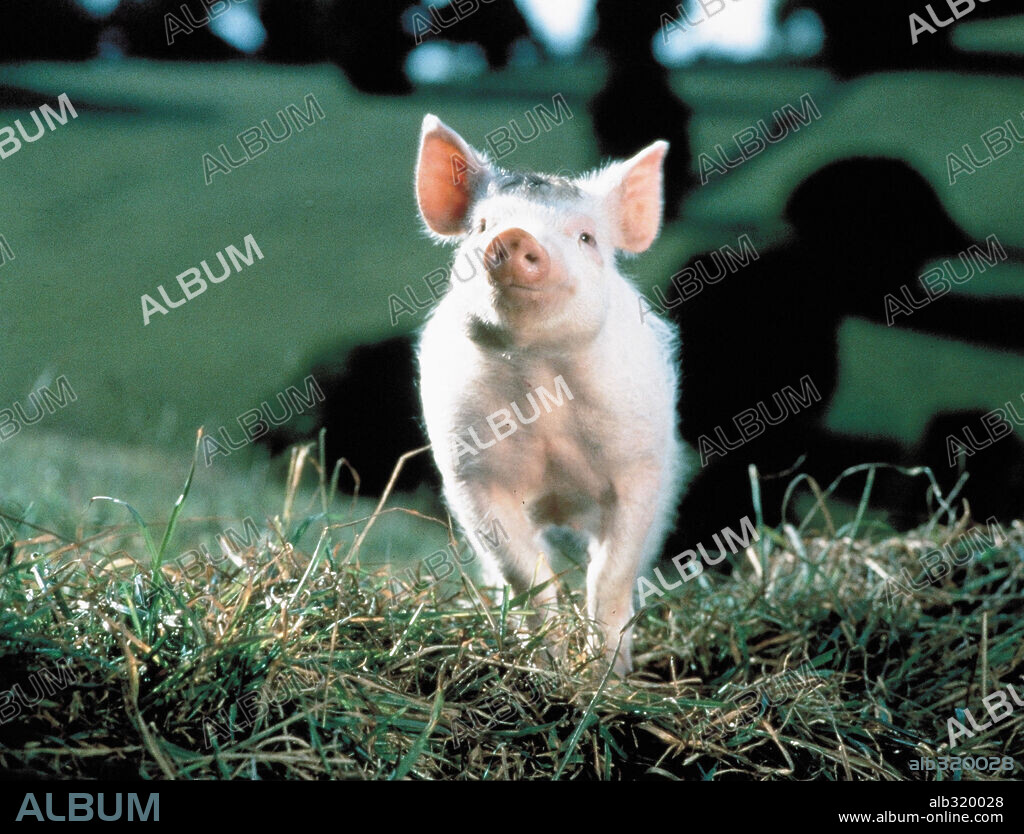 BABE, EL CERDITO VALIENTE, 1995 (BABE, THE GALLANT PIG), dirigida por CHRIS NOONAN. Copyright UNIVERSAL PICTURES.