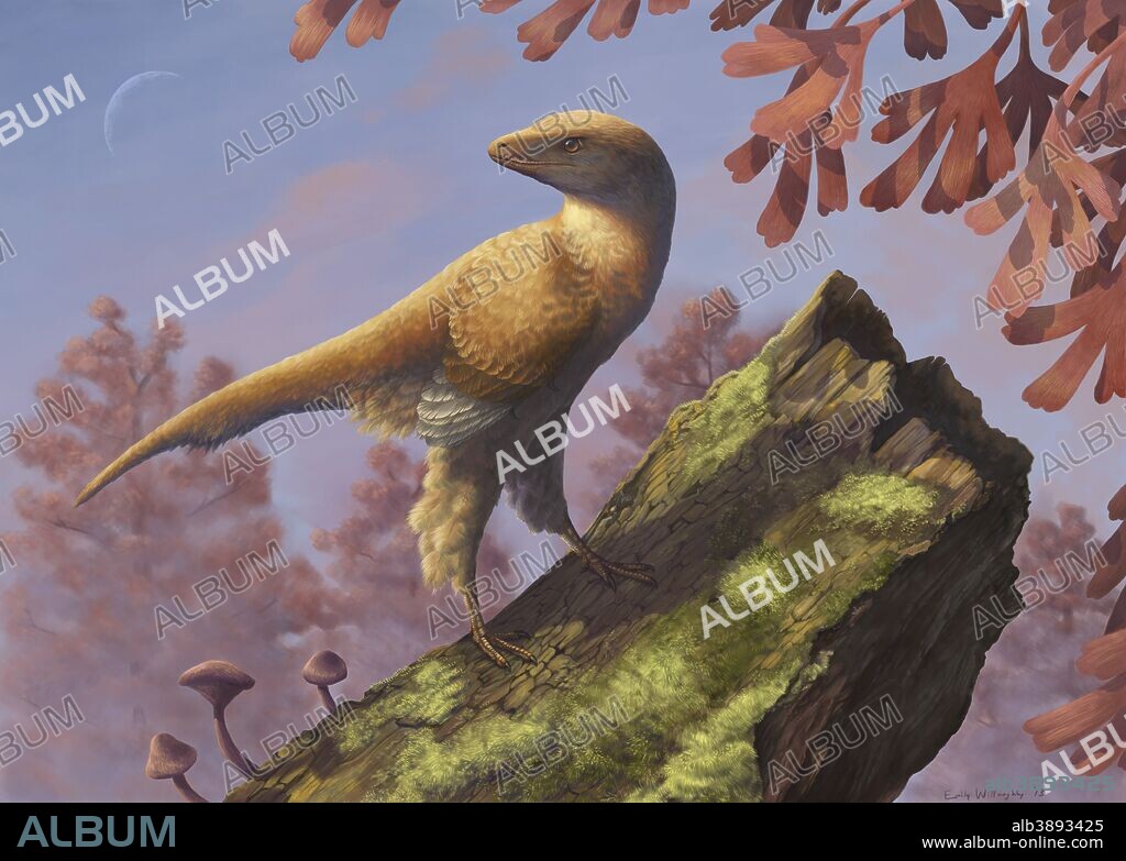 Eosinopteryx is a newly discovered troodontid that lacks long feathers on its feet and tail. Together with short foot claws, these features indicate it was likely restricted to the ground.