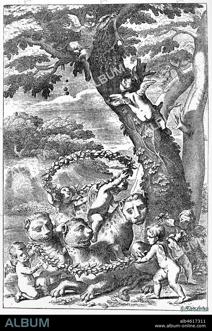 Anatomía de las plantas. Grabado de 1687 incluido en el tratado de medicina Opera Omnia, de Marcello Malpighi (1628-1694). Facsimil.