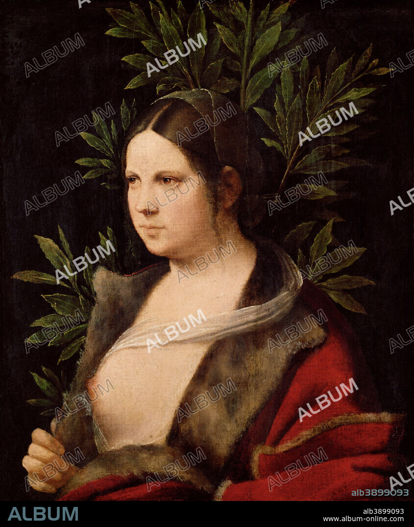 GIORGIONE. Young Woman ("Laura"). Date/Period: 1506. Painting. Canvas on Wood. Height: 410 mm (16.14 in); Width: 336 mm (13.22 in).