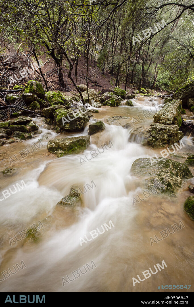 torrent des Freu, valle de Coanegra, Orient,Mallorca, balearic islands, Spain.