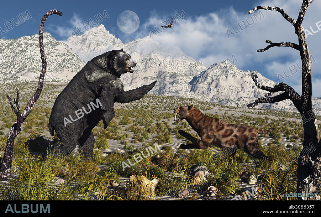 An Arctodus bear and a Sabre-Toothed Tiger involved in a territorial dispute during Earth's Pleistocene period of time.