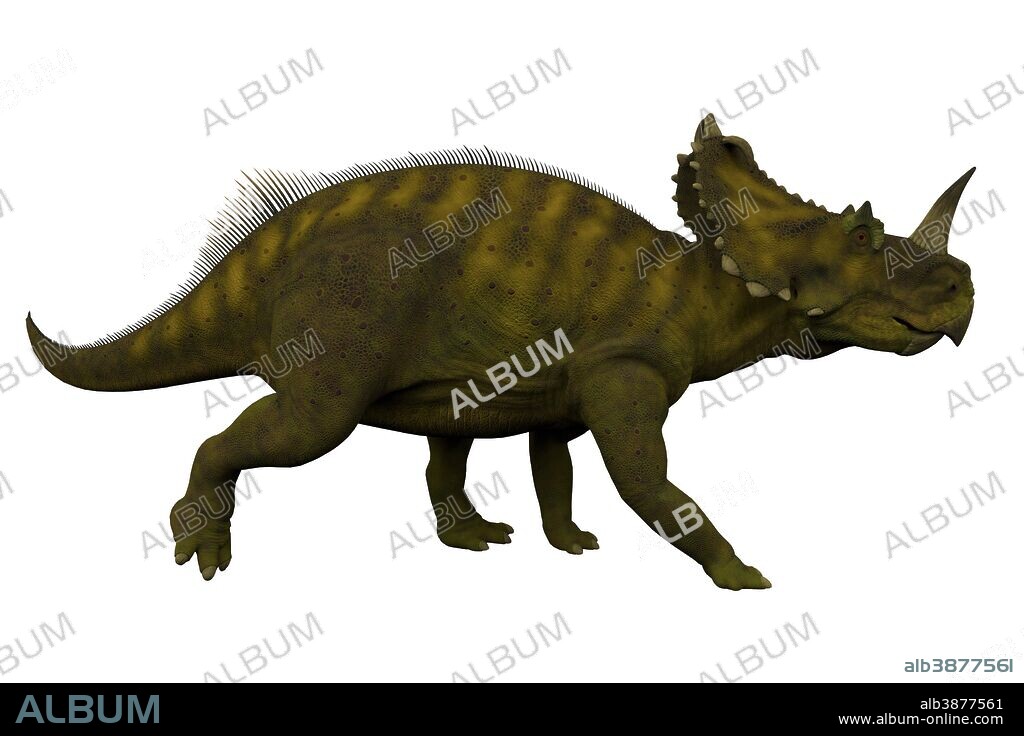Side view of a Centrosaurus dinosaur. Centrosaurus was a herbivorous ceratopsian dinosaur that lived in Canada during the Cretaceous Period.