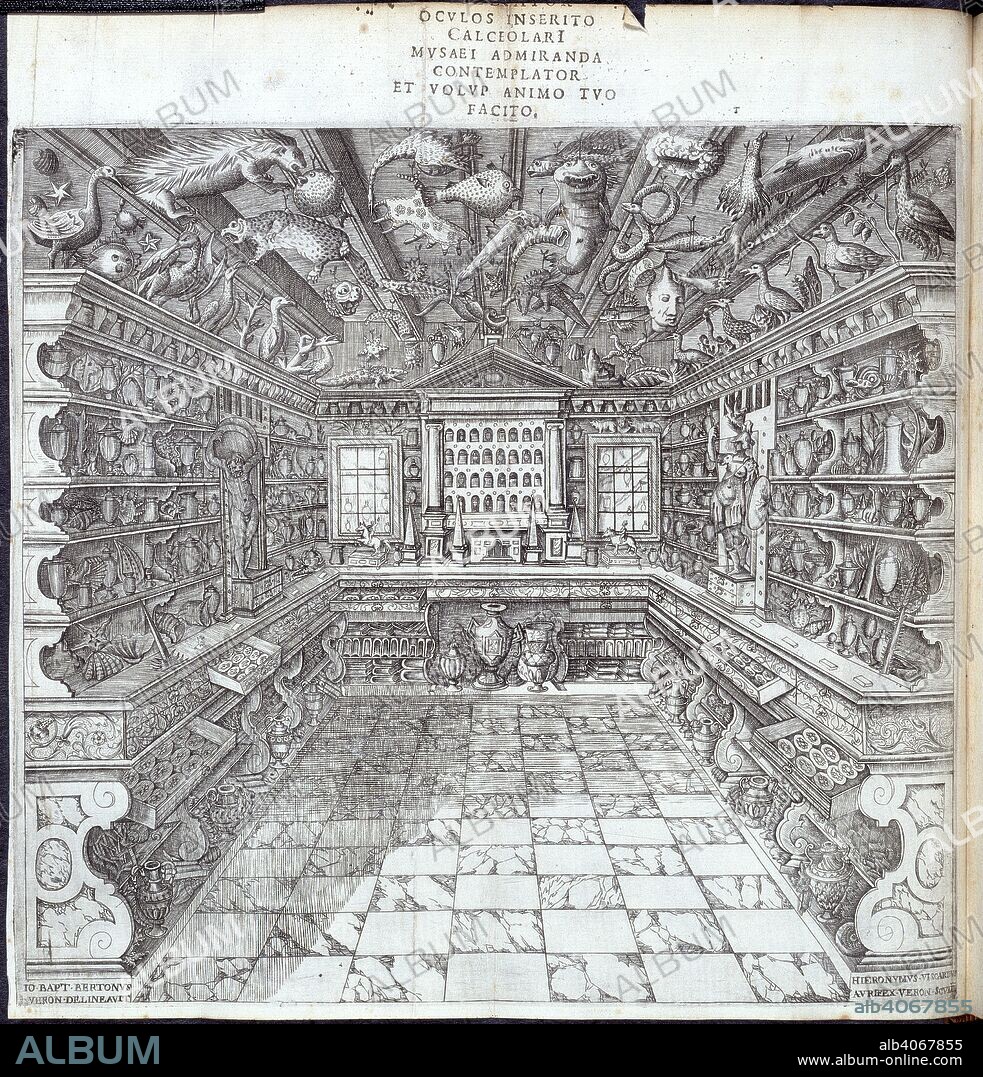 Interior of museum. Mus:um Franc. Calceolarii ... a B. Ceruto ...inc:p. Verona, 1622. Interior of the museum of Francesco Calzolari, Verona  Image taken from Mus:um Franc. Calceolarii a B. Ceruto ...inc:ptum, et ab Andrea Chiocco luculenter descriptum, & perfectum.  Originally published/produced in Verona, 1622. . Source: 462.l.16, frontispiece.