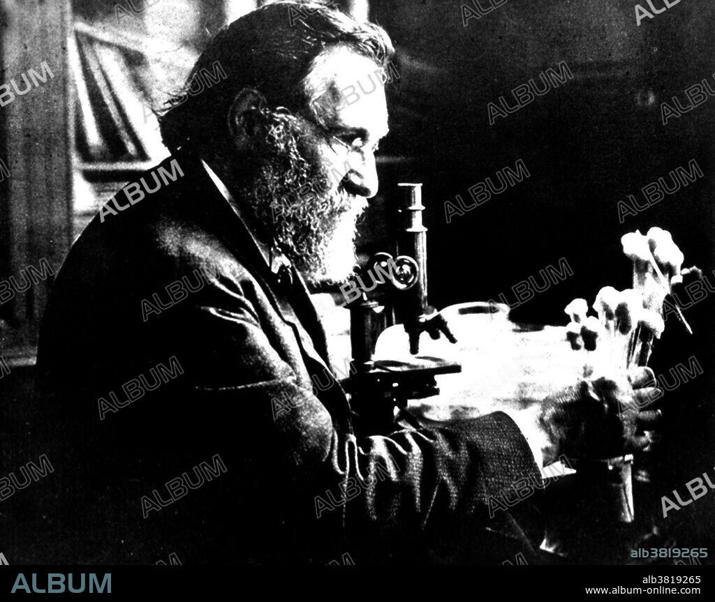 Ilya Ilyich Mechnikov (May 15, 1845 - July 15, 1916) was a Russian biologist best known for his pioneering research into the immune system, for which he won the Nobel Prize in Physiology or Medicine in 1908. He discovered phagocytosis while working at a private laboratory in Messina, Sicily where he was studying comparative embryology on the larvae of starfish. Phagocytosis is the process of cells engulfing large particles (such as bacteria or dead cells), and one of the ways that the white blood cells of the immune system fight disease. He is credited by with coining the term gerontology in 1903, for the emerging study of aging and longevity. He worked with Ã‰mile Roux on calomel, an ointment to prevent people from contracting syphilis, a sexually transmitted disease. He died in 1916 from heart failure.