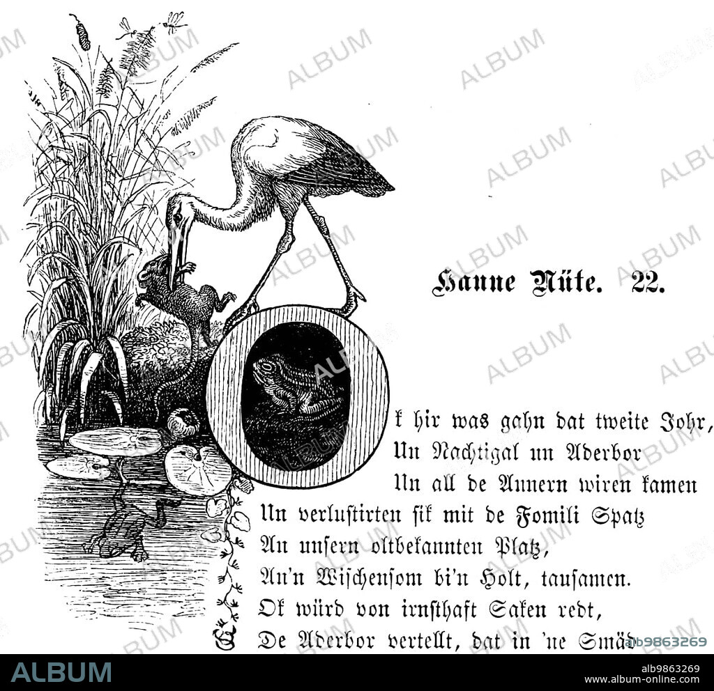 Fritz Reuter (1810) (1874) Low German writer and poet, Hanne Nüte un de lütte Pudel, Eine Vogel, und Menschengeschichte, Platt, Low German, Low German, dialect, language, poet, poem, literary figure, graphic, humour, satire, text, lines of verse, Adebar, stork, pond, frog, beak, reed, water lilies, eat, food, Hanne Nüte 22, North Germany, 19th century, historical illustration 1868