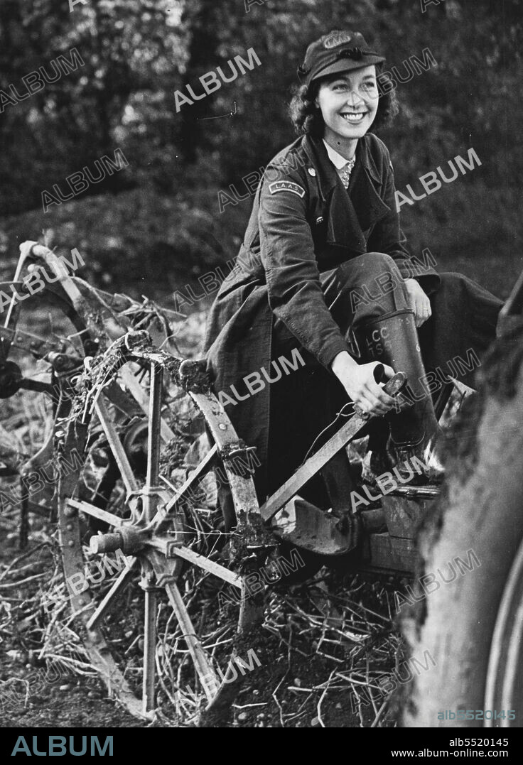 Sir Bernard Spilsbury's Daughter: Potato Harvester - Mrs. John Steel, guiding a potato listing machine on the L.C.C. farm land and joining Claybury Hospital in Essex.Men and women members of the London Auxiliary Ambulance Service are working as volunteers harvesting potatoes on the farms which supply L.C.C. hospitals.One of the ambulance drivers is Mrs. John Steel, daughter of Sir Bernard Spilsbury the pathologist. October 23, 1941. (Photo by London News Agency Photos Ltd.).