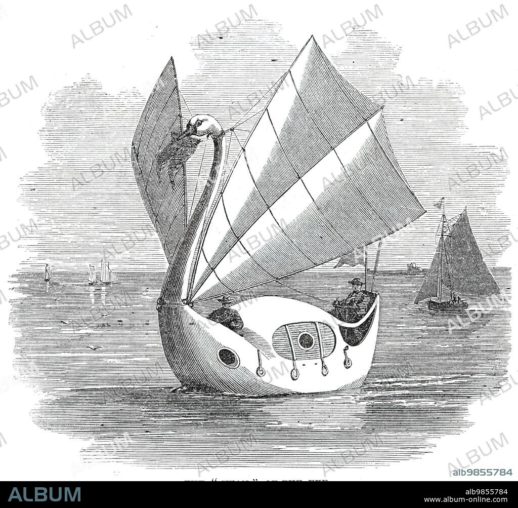 The "Swan" of the Exe, 1860. '...an elegant yacht, the very similitude of a gigantic white swan...constructed from drawings and sections by the owner, Captain George Peacock...[It is] exactly four times the size of Bewick's Mute Swan...Its neck and head, beautifully carved, rise gracefully 16 feet above the water-line. The wings of the bird are represented by the sails, which are hoisted and lowered by halyards running through gilt pendent blocks attached to a gilded ring at the upper part of the neck...the necessity for ballasting is dispensed with, and all possibility of capsizing or sinking is removed, rendering the vessel, in fact, a perfect life-boat...a propelling force is given by means of two powerful steel-webbed and feathering feet...A lever, with handles worked by two or four persons in the same manner as a fire-engine...gives a reciprocating motion to the legs...Captain Peacock calculates that in smooth water a minimum speed of five miles an hour may be obtained... In the table are small oval apertures, which open to the water underneath, and thus afford the opportunity of fishing whilst sitting at table... smoke...is conveyed through the bird's neck and out at its nostrils...The breast of the bird is...fitted up as a boudoir'. From "Illustrated London News", 1860.