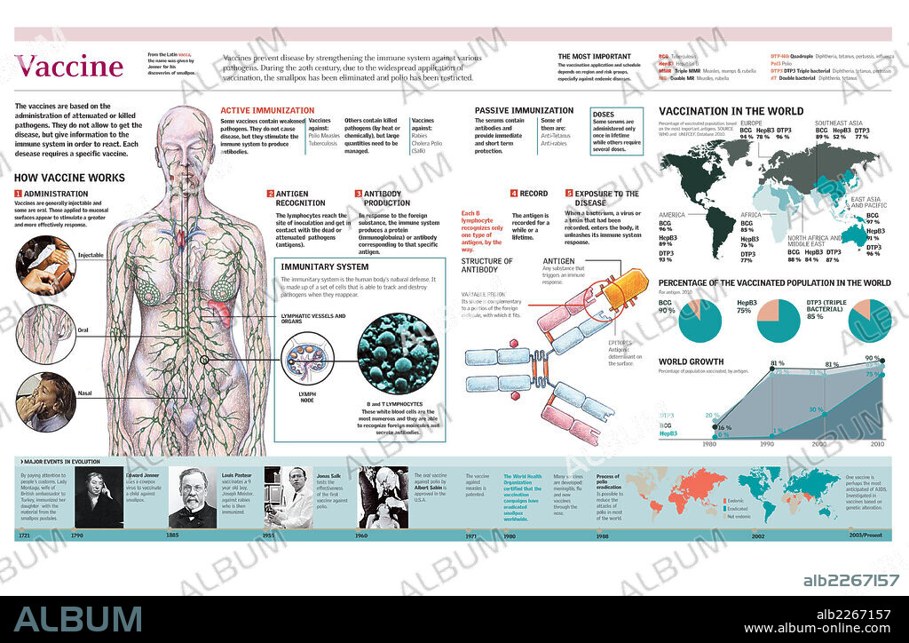 VACUNA. Infografía de la actuación de una vacuna sobre el organismo humano y datos de vacunación a nivel mundial.