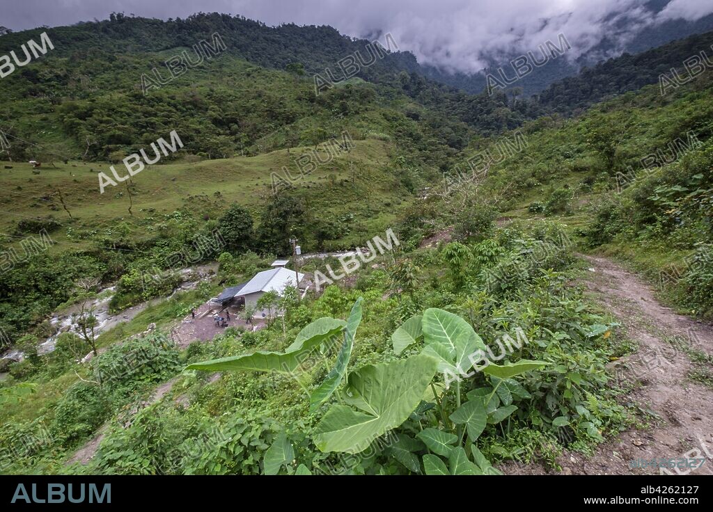 bosque humedo, Sierra de los Cuchumatanes, Quiche, República de Guatemala, América Central.