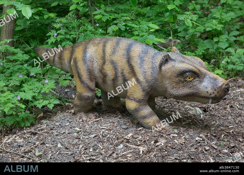 Cynognathus, an extinct cynodont predatory therapsid found in the Triassic Period, in Dinosaurier Park, Germany.