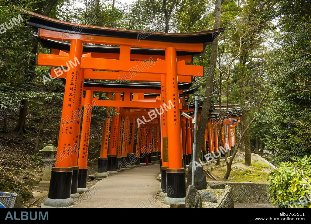 The Endless Red Gates (torii) of Kyoto's Fushimi Inari Shrine, Kyoto, Japan, Asia.