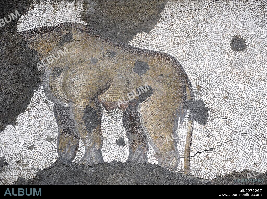 Great Palace of Constantinople (East Roman period). Detail of one of the mosaics that decorated the pavements. Lioness and cubs. 4th-6th century. Great Palace Mosaics Museum. Istanbul, Turkey.