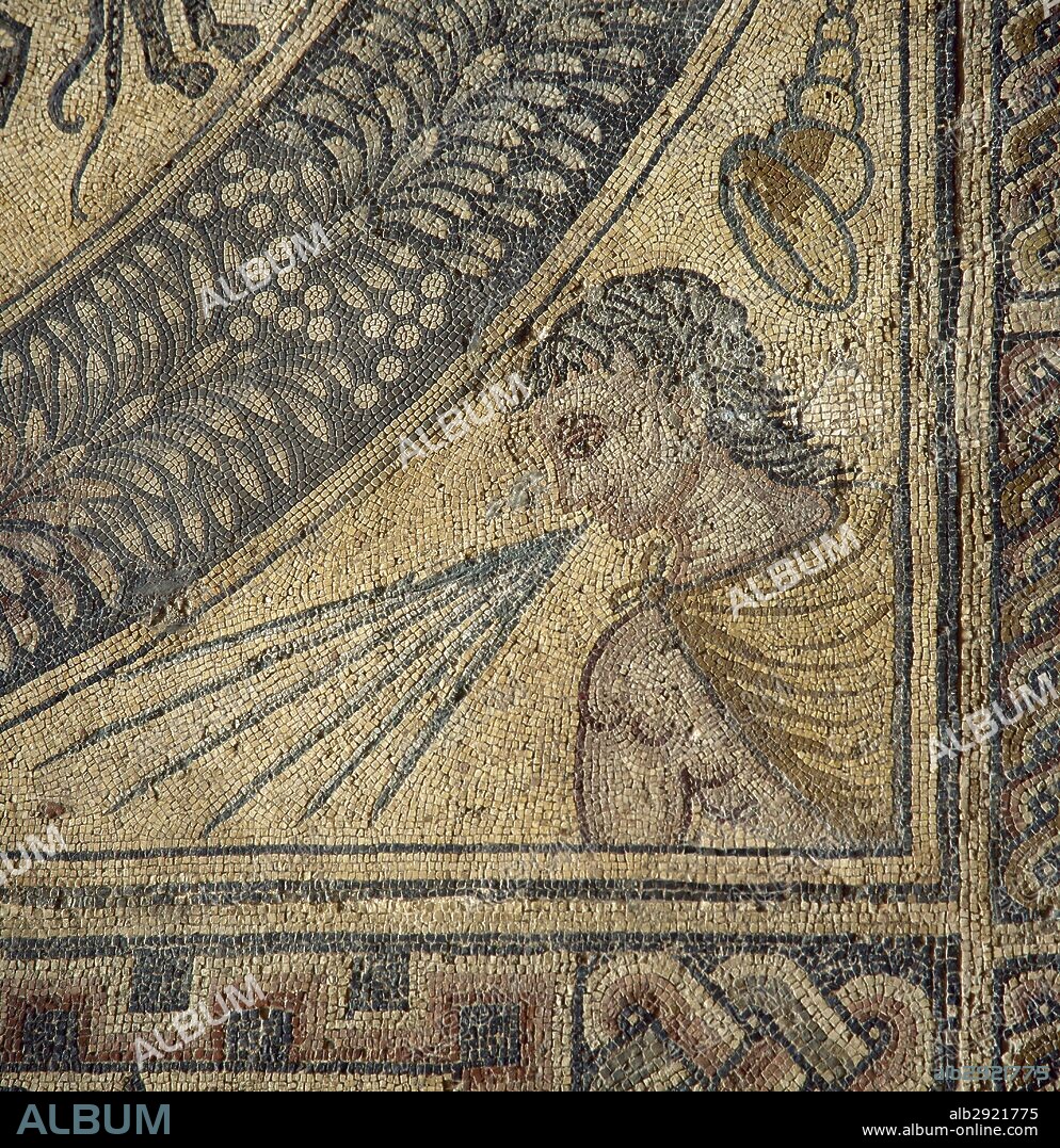 "MOSAICO DE LOS AURIGAS". Fechado en el siglo IV d. C. Detalle de una de sus esquinas, con la representación de uno de los CUATRO VIENTOS soplando. Museo Nacional de Arte Romano. Mérida. Provincia de Badajoz. Extremadura. España.
