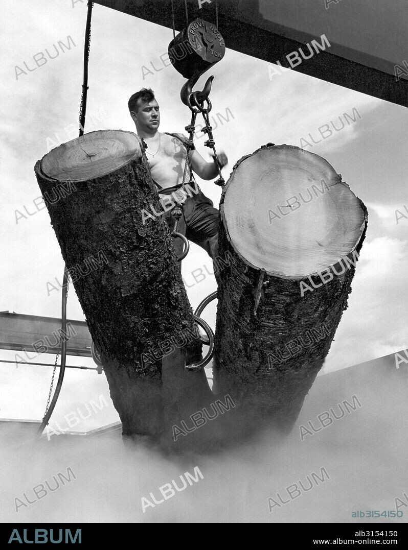 Canada:   1956. A worker in a pulp mill maneuvers logs to be steamed so the bark can be removed.