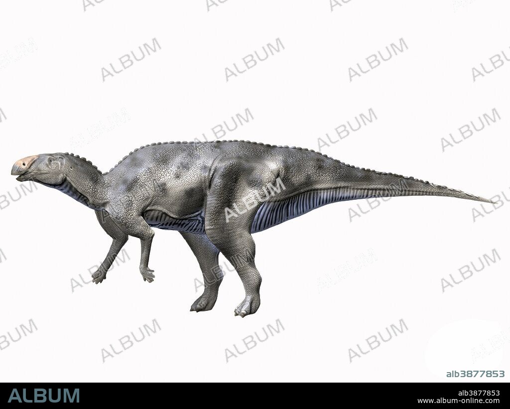 Hadrosaurus foulkii, Late Cretaceous of New Jersey.