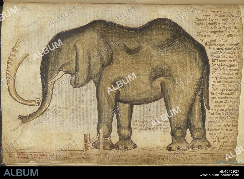 MATTHEW PARIS. An elephant; the animal was a present from King Louis IX of France to King Henry III, in 1255. It was part of the menagerie kept at the Tower of London.  . Liber Additamentorum. England (St Albans); 1250-1254. Source: Cotton Nero D. I, f.169v. Language: Latin.