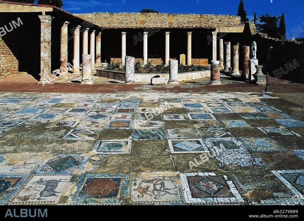 Mosaic of Horses, detail of the Mosaic of Horses (3rd century AD), House of the Aviary, park of Roman villas, Archaeological Site of Carthage (Unesco World Heritage List, 1979), Tunisia.