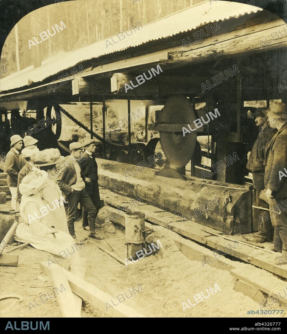 'The Timber Industry, Warburton, Victoria, Australia', 1909. 'Both saws operate in "breaking down" logs of greater diameter'. The double circular saw - with one blade above the other - was introduced in the 1870s. One of a set of stereocard views by George Rose, boxed as "Studies through the Stereoscope", to be viewed on a Sun Sculpture stereoscope made by Underwood & Underwood. [The Rose Stereograph Company, Melbourne, Sydney, Wellington & London, c1909].