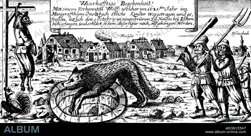 In 1685 the Bavarian town of Ansbach was being terrorized by a large vicious wolf. The rumors were that the wolf was actually a werewolf whose identity was that of the town's dead mayor. When the wolf was killed, the people of Ansbach dressed the wolf's carcass to resemble their mayor. It was then put on display in the town square and later moved to a museum. A werewolf, in European folklore, is a man who turns into a wolf at night and devours animals, people, or corpses but returns to human form by day. Some werewolves change shape at will; others, in whom the condition is hereditary or acquired by having been bitten by a werewolf, change shape involuntarily, under the influence of a full moon. If he is wounded in wolf form, the wounds will show in his human form and may lead to his detection. Belief in werewolves is found throughout the world. The psychiatric condition in which a person believes he is a wolf is called lycanthropy. In French folklore, the werewolf is called loup-garou. France was particularly afflicted with reports of them in the 16th century, and there were many notable convictions and executions of loups-garous.