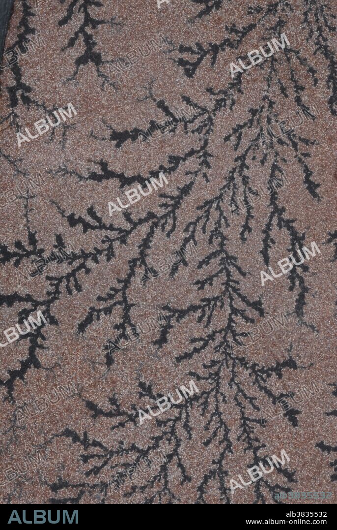 Manganese dendrite pseudofossils. These crystals, which are often mistaken for plant fossils, form when fissures in the rock are filled with manganese-rich water.