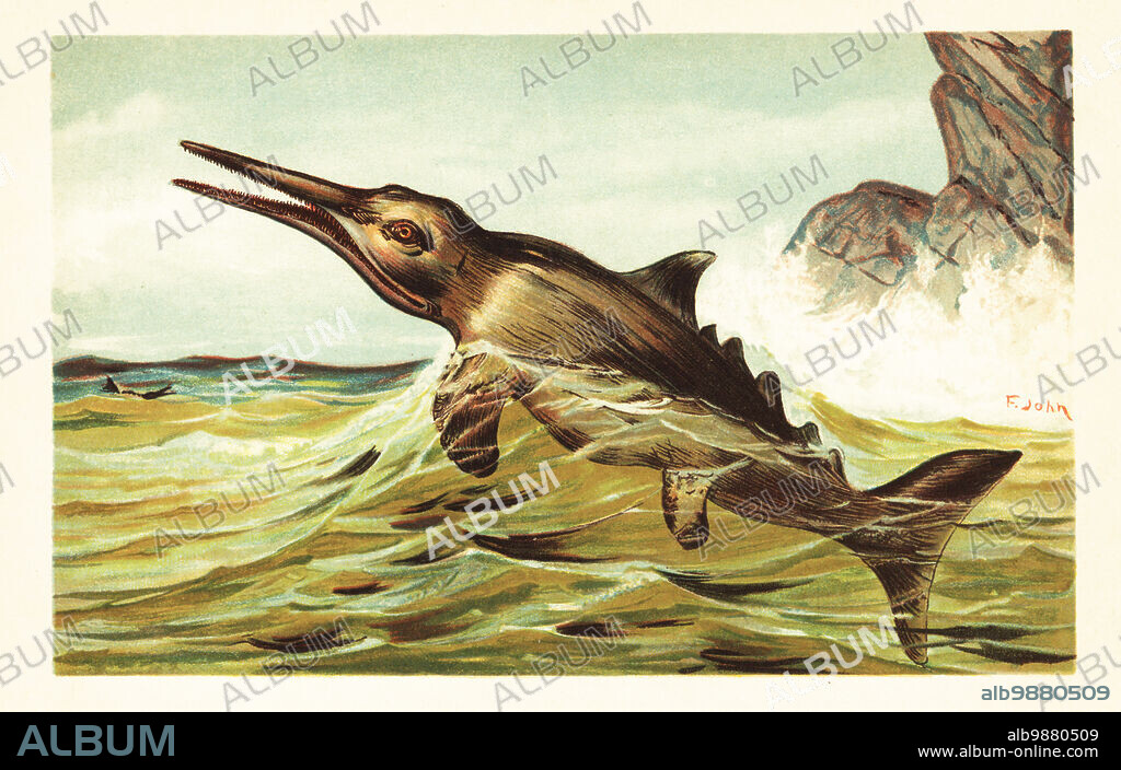 Stenopterygius quadriscissus Quenstedt. An Ichthyosaurus, genus of extinct ichthyosaurs from the late Triassic and early Jurassic. Ichthyosaurus quadriscissus (Fisch-Eidechse) Jura-Zeit. Colour printed illustration by F. John from Wilhelm Bolsches Tiere der Urwelt (Animals of the Prehistoric World), Reichardt Cocoa company, Hamburg, 1908.