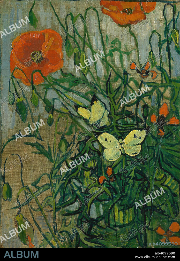 VINCENT VAN GOGH. Butterflies and Poppies. Date: May-June 1889, Saint-Rémy-de-Provence. Dimensions: 35 cm x 25.5 cm, 52.8 cm x 43.5 cm.