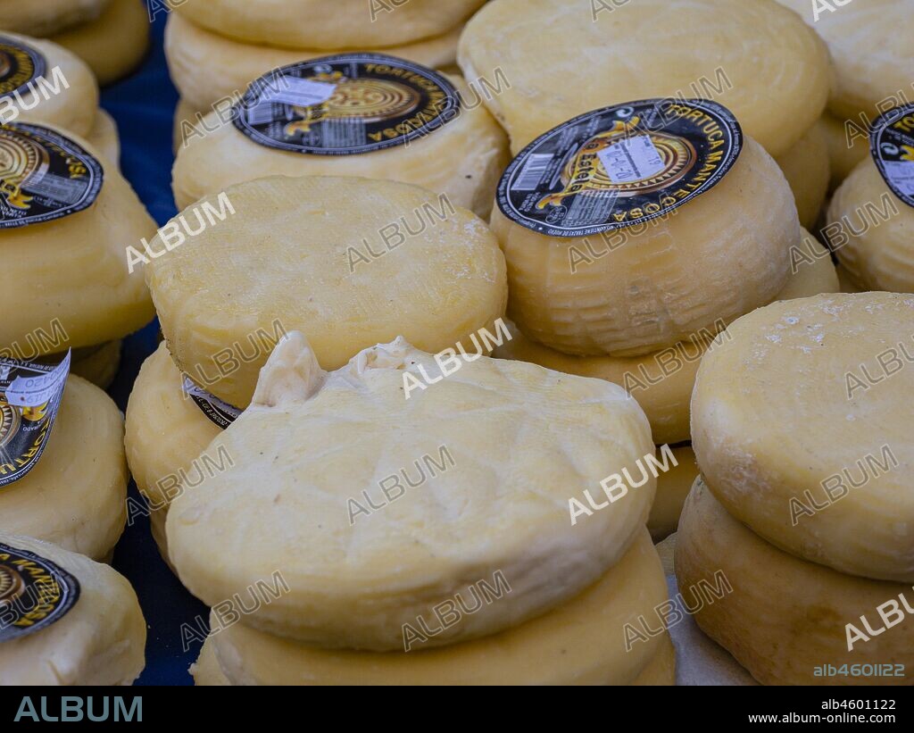 Tortucas, queso tipico cantabro, Cabezón de la Sal, comarca Saja-Nansa, Cantabria, Spain.
