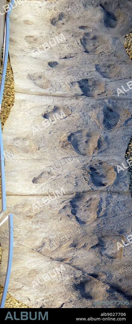 Replica of the Laetoli footprints, hominin footprints which are preserved in volcanic ash, in Tanzania dated to the Plio-Pleistocene. Dated 21st Century.