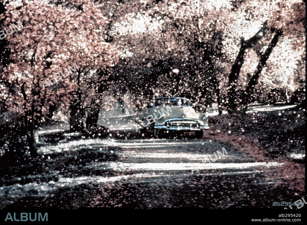 PLEASANTVILLE, 1998, directed by GARY ROSS. Copyright NEW LINE CINEMA / NELSON, RALPH.