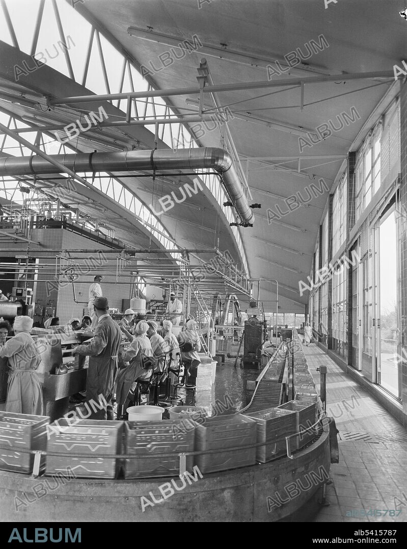 JOHN LAING PLC. Workers at machinery on the first floor of the Production Block of the Wall's Ice Cream Factory, with metal containers on a conveyor belt in the foreground. Work began in February 1959 on a new factory for T. Walls and Sons Limited on a 30 acre site at Barnwood. The £2 million project comprised buildings including the production block, workshops, offices, a canteen, boiler house, cold store, water tower, and engineers' shop.