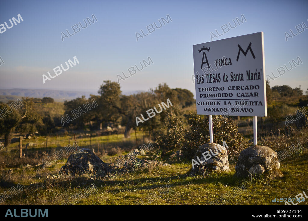 Portezuelo (Cáceres, Extremadura). 14/01/2021. Victorino Martín en la finca «Las Tiesas de Santa María», sede de su ganadería de toros de lidia. Foto: Guillermo Navarro ARCHDC.