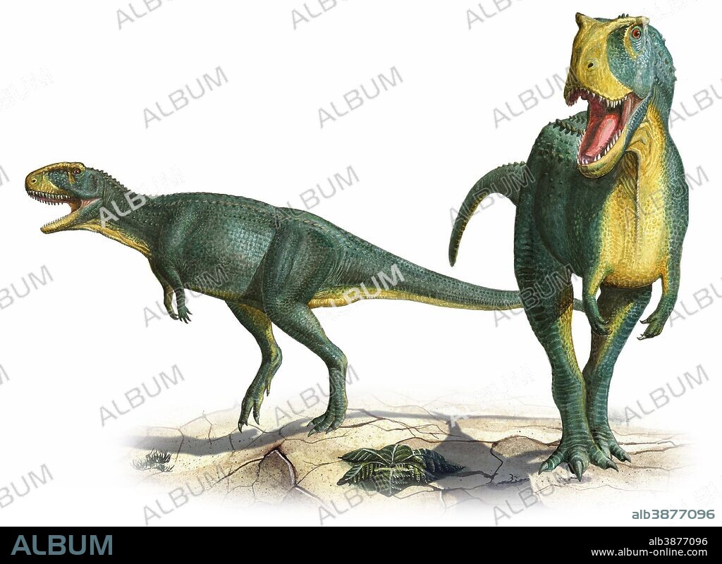 Rugops primus, a prehistoric era dinosaur from the Late Cretaceous period.