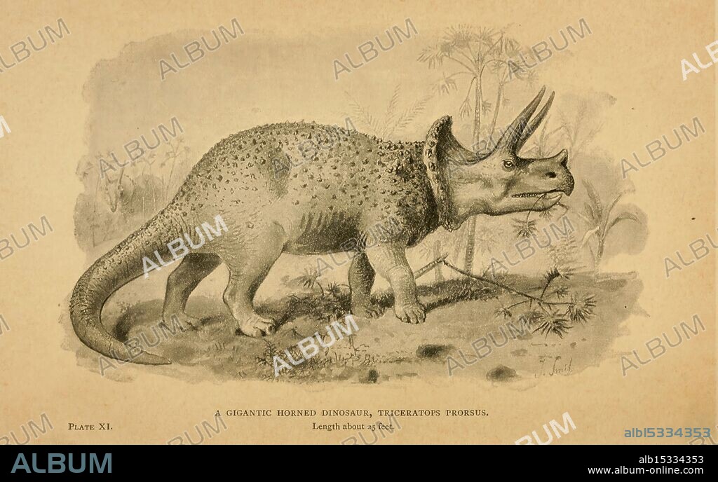 Extinct monsters London, Chapman & Hall, 1896, extinct animals, paleontology, triceratops prorsus, Joseph Smith, 7, Henry Neville Hutchinson, dinosaur, biol, daily sci art, This illustration depicts a Triceratops, a large horned dinosaur known for its distinctive three facial horns and a bony frill at the back of its head. The creature stands in a prehistoric landscape, characterized by lush vegetation and an ancient environment. Detailed anatomical features emphasize its robust body, sturdy legs, and textured skin. Below the image, a caption notes the species name, 'Triceratops prosubis,' and indicates its impressive length of approximately 9 feet.