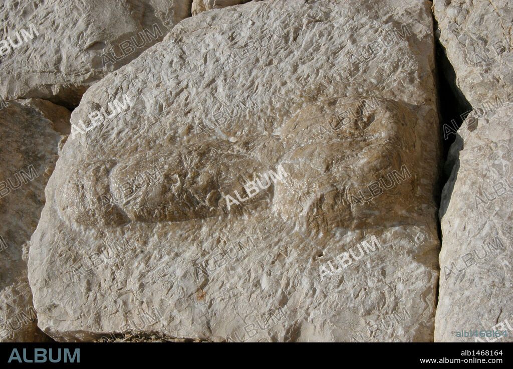 ARTE ROMANO. ESPAÑA. Relieve del tercer sillar de piedra de la Puerta ojival de la MURALLA ROMANA de la CIUDAD DE EMPURIES, donde se representa un SIGNO FALICO (símbolo de fuerza y prosperidad. Comarca de l'Alt Empordà. Provincia de Girona. Cataluña.