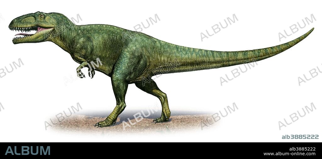 Giganotosaurus carolinii, a prehistoric era dinosaur from the Late Cretaceous period.