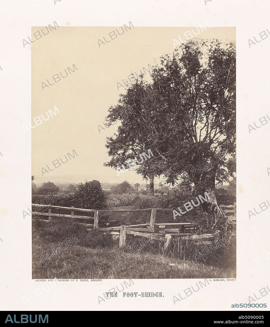The Foot-Bridge, Alfred Rosling, 1802ca. 1880, British, Published by Francis Frith, 18221898, British, 1860s, Albumen print from wet collodion negative on thin, smooth, cream wove paper, Sheet: 8 1/8 × 6 1/2 inches (20.6 × 16.5 cm) and Mount: 14 5/8 × 11 1/2 inches (37.1 × 29.2 cm), landscape, tree.
