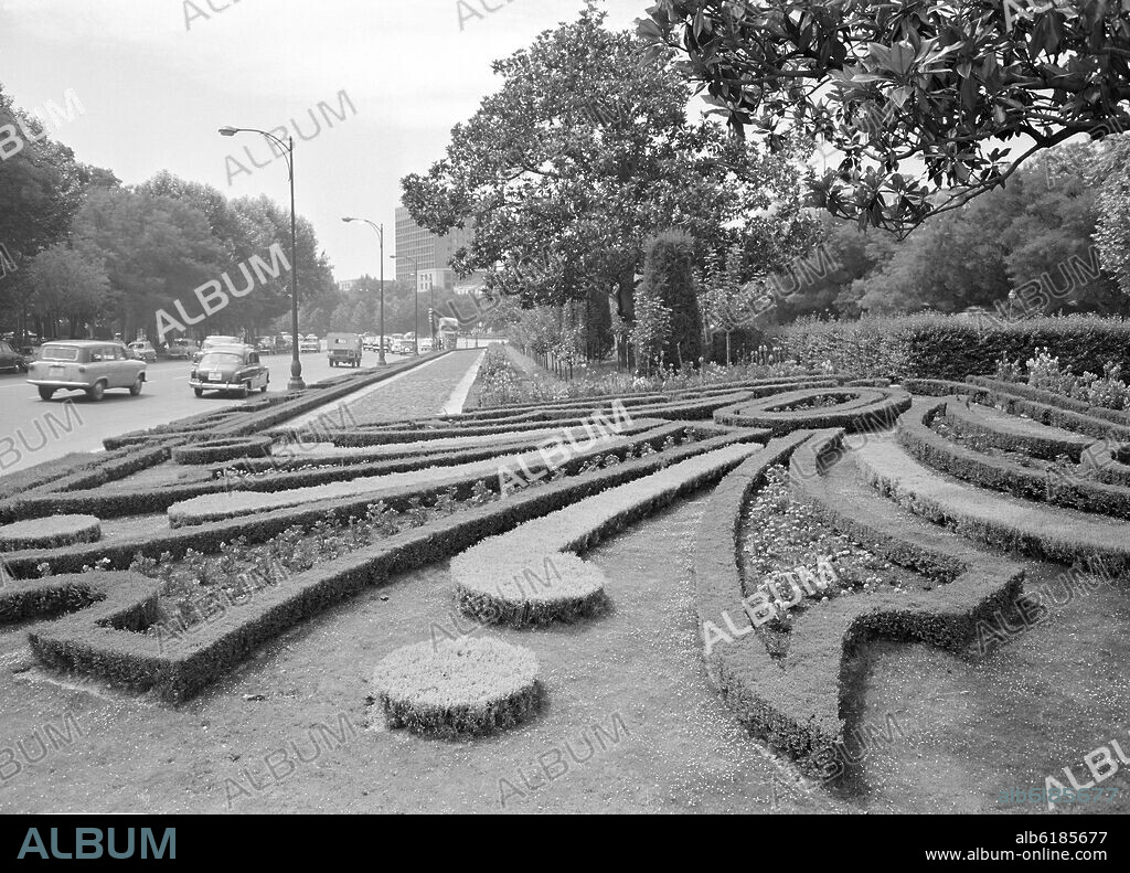 ZONA AJARDINADA EN EL PASEO DE RECOLETOS - FOTOGRAFIA EN BLANCO Y NEGRO - AÑOS 50.